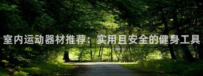 意昂体育4平台是正规平台吗安全吗：室内运动器材推荐：