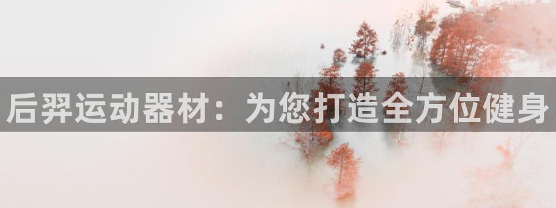 意昂4五金厂：后羿运动器材：为您打造全方位健身