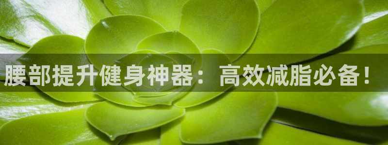 意昂4娱乐是那个系列的台子：腰部提升健身神器：高效减