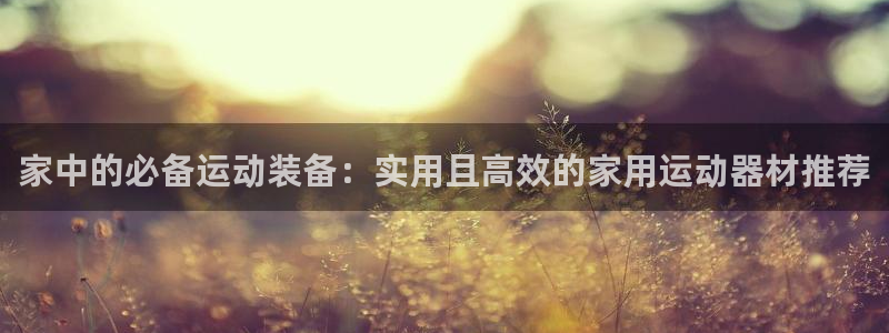 意昂4官网：家中的必备运动装备：实用且高效的家用运动