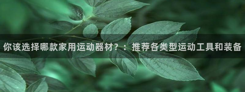 意昂4神州：你该选择哪款家用运动器材？：推荐各类型运动工具和