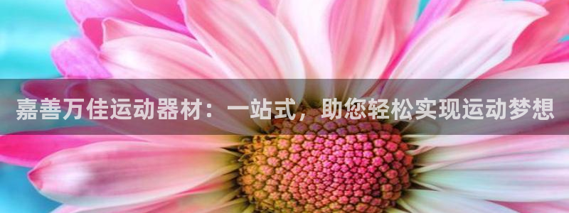 意昂4新能源：嘉善万佳运动器材：一站式，助您轻松实现