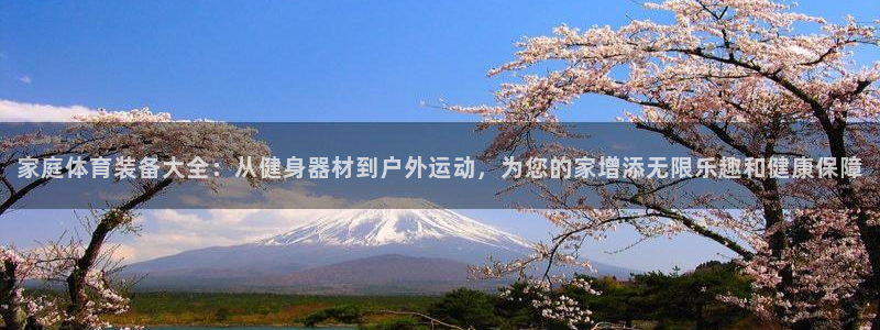 意昂体育4平台：家庭体育装备大全：从健身器材到户外运