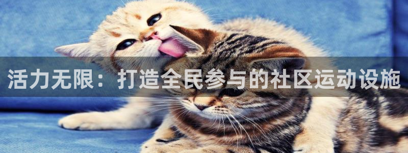 意昂4官网：活力无限：打造全民参与的社区运动设施