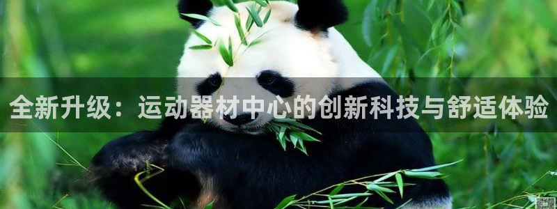 意昂体育4招商电话地址是多少：全新升级：运动器材中心