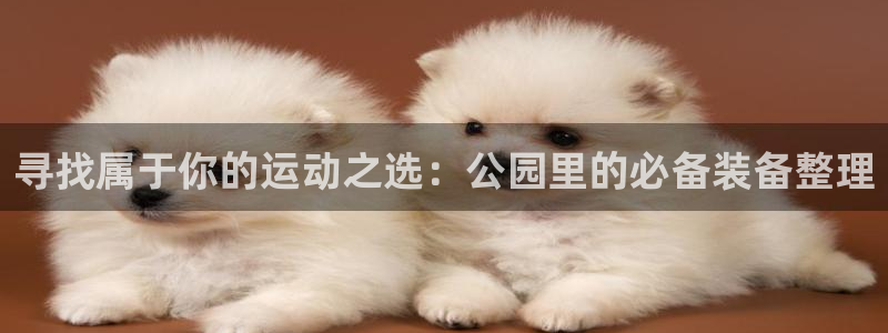 意昂4娱乐网站：寻找属于你的运动之选：公园里的必备装