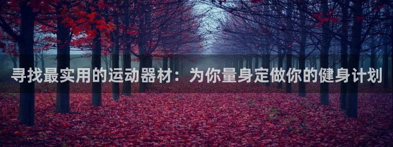 意昂4开户：寻找最实用的运动器材：为你量身定做你的健