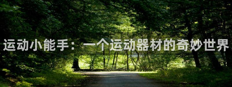 意昂体育4平台APP：运动小能手：一个运动器材的奇妙