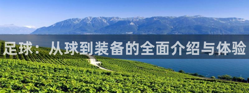 意昂4娱乐首页官网下载：足球：从球到装备的全面介绍与
