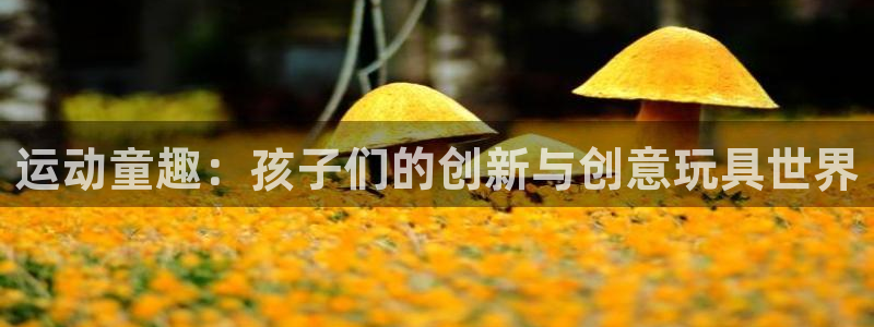 意昂体育4娱乐：运动童趣：孩子们的创新与创意玩具世界