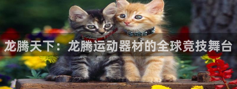 意昂4新能源