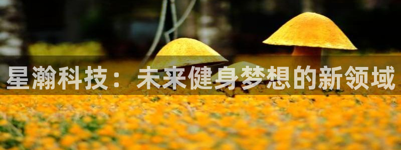 意昂4开户