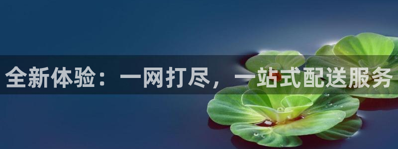 意昂体育4招商