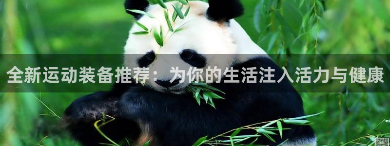 意昂体育4招商电话地址：全新运动装备推荐：为你的生活注入活力