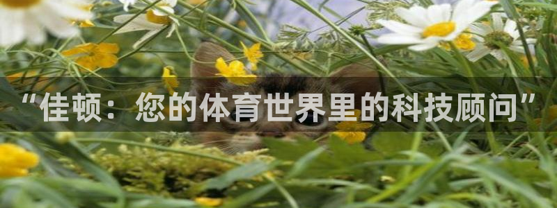 意昂4娱乐平台：“佳顿：您的体育世界里的科技顾问”