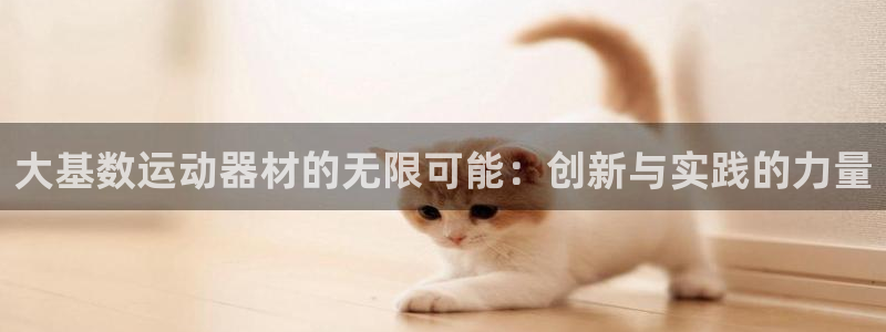意昂体育4招商电话号码查询：大基数运动器材的无限可能：创新与