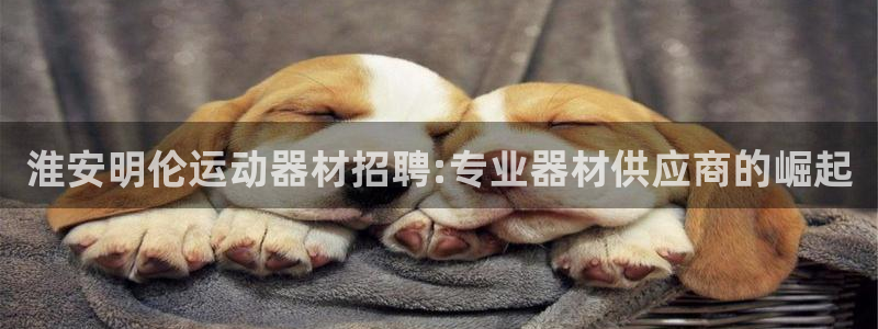 意昂4开户：淮安明伦运动器材招聘:专业器材供应商的崛