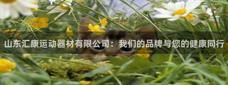 意昂体育4平台是正规平台吗