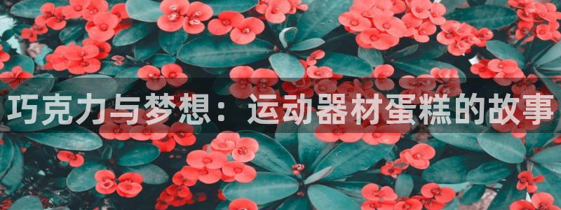 意昂体育4平台是正规平台吗安全吗：巧克力与梦想：运动器材蛋糕