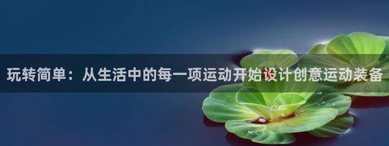 意昂体育4是干嘛的公司：玩转简单：从生活中的每一项运动开始设