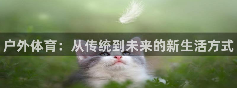 意昂体育4招商电话号码查询是多少