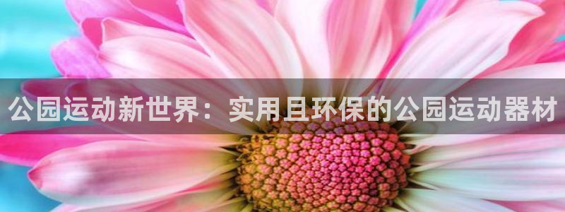 海南意昂体育4：公园运动新世界：实用且环保的公园运动器材
