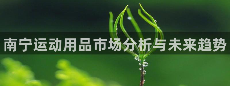 意昂4官方：南宁运动用品市场分析与未来趋势