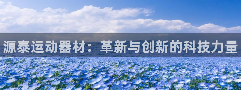 意昂体育4招商电话号码查询是多少：源泰运动器材：革新