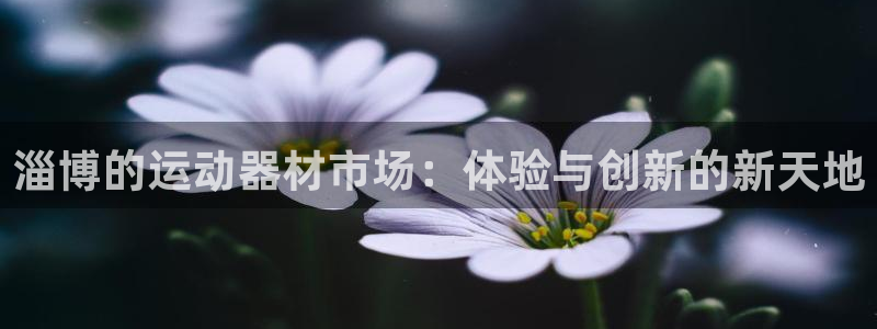 意昂体育4平台是正规平台吗知乎：淄博的运动器材市场：