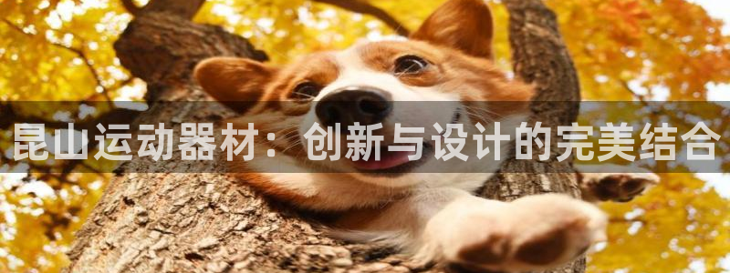 意昂体育4平台注册：昆山运动器材：创新与设计的完美结