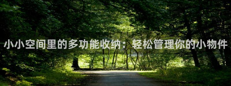 意昂体育4软件：小小空间里的多功能收纳：轻松管理你的
