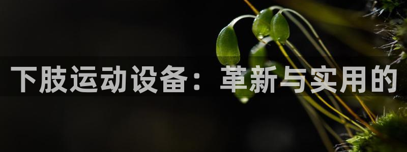 意昂体育4招商电话号码是多少：下肢运动设备：革新与实