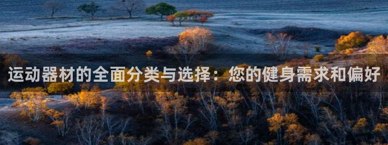 意昂4娱乐是那个系列的台子：运动器材的全面分类与选择