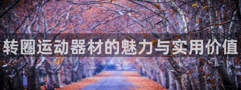 意昂4科技：转圈运动器材的魅力与实用价值