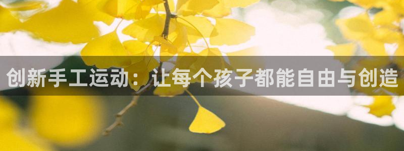 意昂体育4招商电话号码是多少：创新手工运动：让每个孩