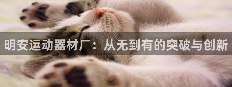 意昂4娱乐下载：明安运动器材厂：从无到有的突破与创新