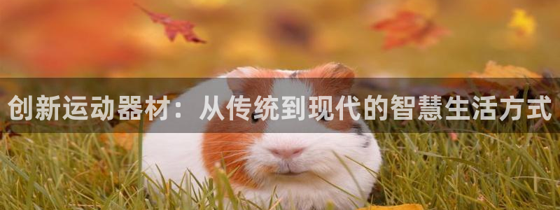 意昂体育4联系电话：创新运动器材：从传统到现代的智慧生活方式
