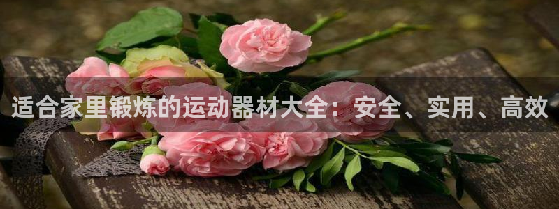 海南意昂体育4发展怎么样
