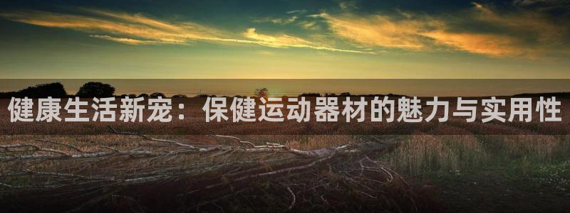 意昂体育4联系电话：健康生活新宠：保健运动器材的魅力与实用性