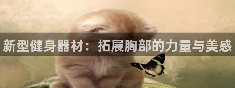 意昂4娱乐是那个系列的台子：新型健身器材：拓展胸部的力量与美