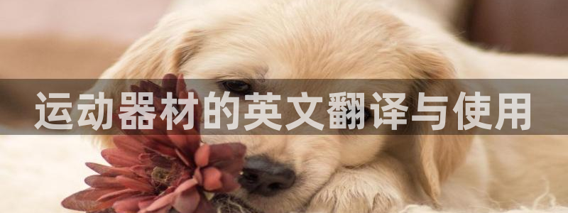 意昂体育4招商电话号码是多少啊：运动器材的英文翻译与