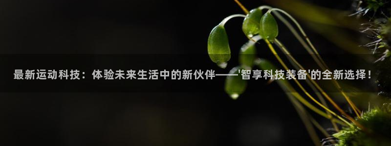 意昂4官网：最新运动科技：体验未来生活中的新伙伴——