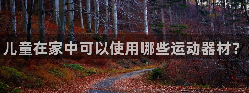 意昂体育4平台注册要钱吗：儿童在家中可以使用哪些运动