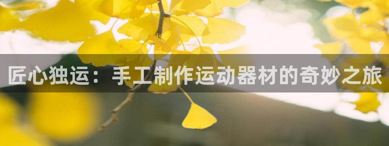 意昂4娱乐下载：匠心独运：手工制作运动器材的奇妙之旅