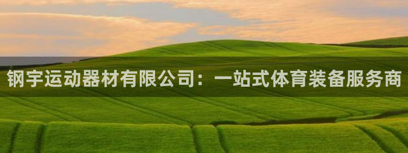 意昂体育4平台注册：钢宇运动器材有限公司：一站式体育