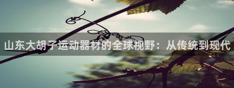 意昂4娱乐平台