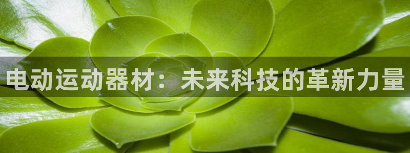 意昂体育4平台：电动运动器材：未来科技的革新力量