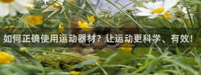 意昂体育4联系电话