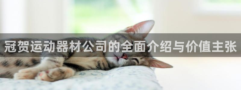 意昂4集团logo