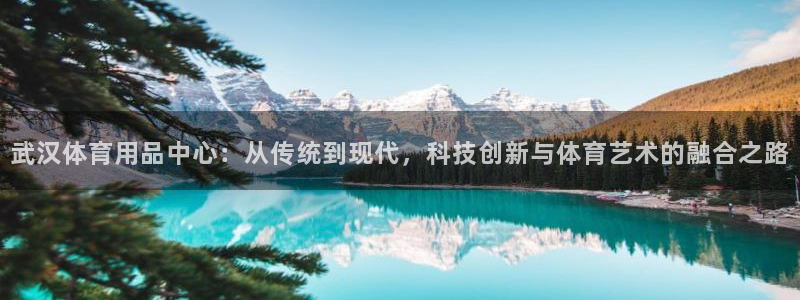 意昂体育4联系电话：武汉体育用品中心：从传统到现代，